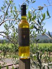 Titus Olive Oil - Tuscan Blend
